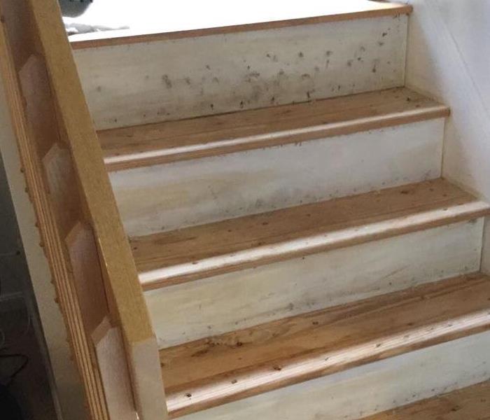 Stairs that had the carpet removed due to a biohazard clean up