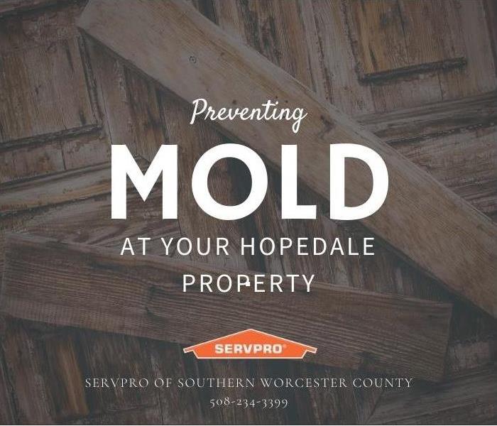 Preventing mold at your Hopedale property 